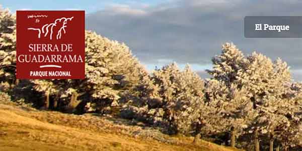 parque guadarrama web