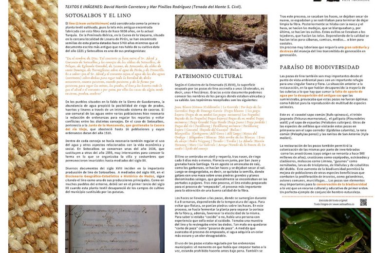 Sotosalbos cartelpozaslino web